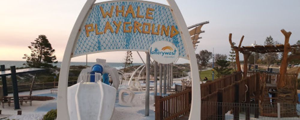 Exciting Play Hours At Whale Playground