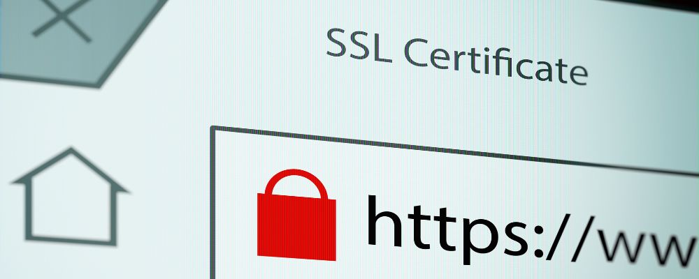 Importance of SSL for Your Website
